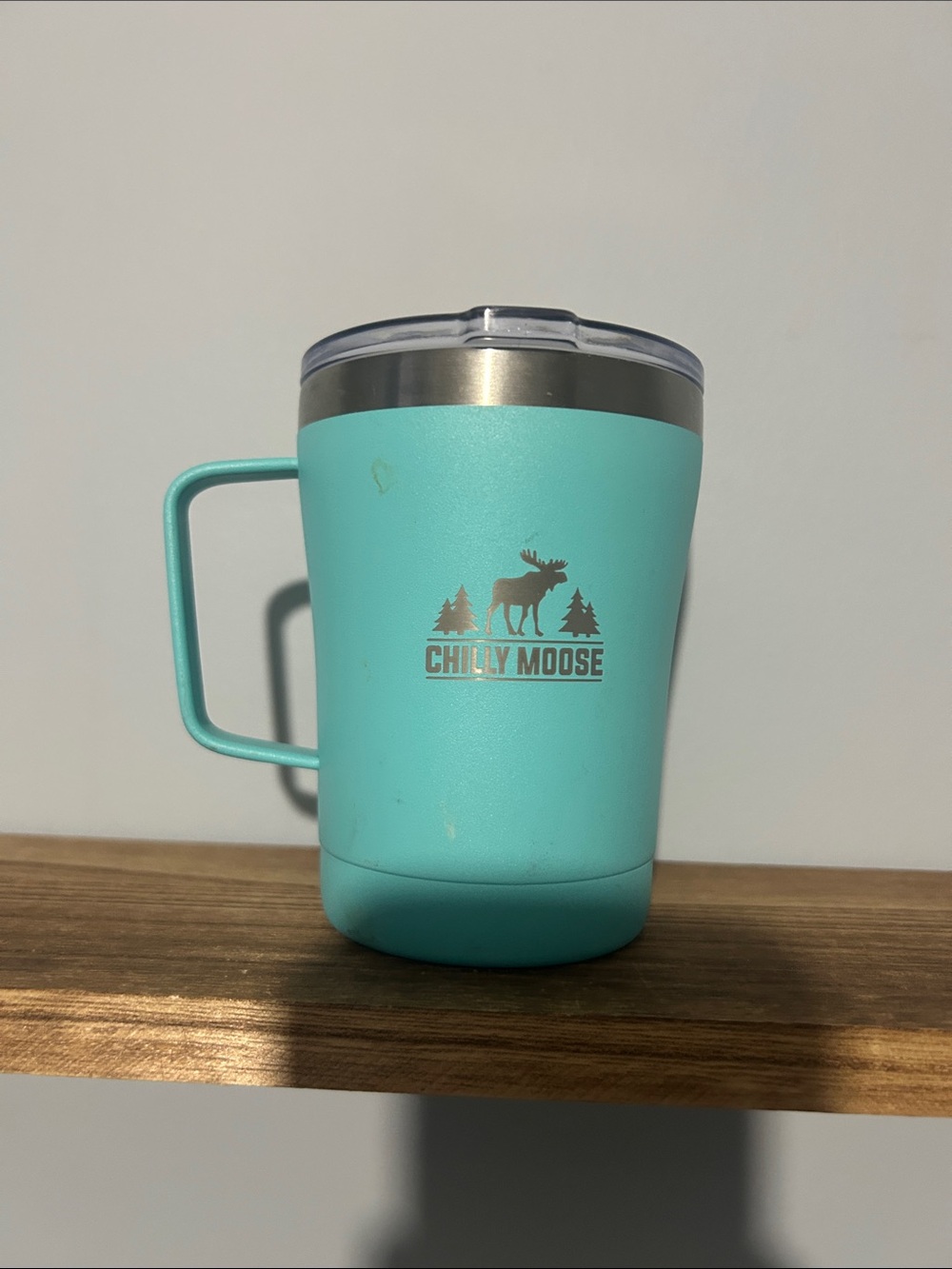 Chilly Moose Aqua Insulated Travel Mug with Handle